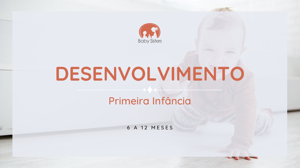 1ª Infância: 6-12 meses