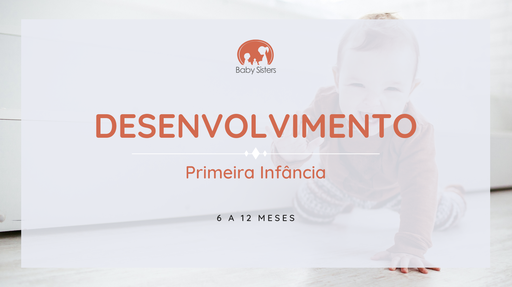 1ª Infância: 6-12 meses
